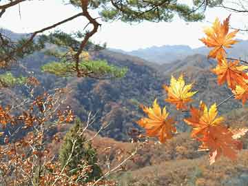 探索澳门彩票开奖结果，新澳门天天开奖结果第045期（2025年）深度解析与预测,2025新澳门天天开奖结果045期 21-33-34-40-42-44Q：12